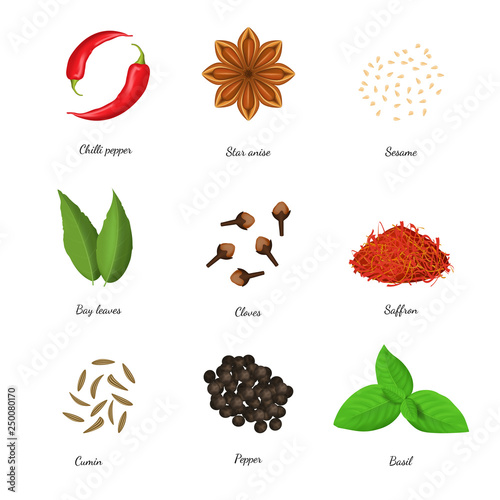 Realistic 3d Detailed Classic Spices Collection. Vector