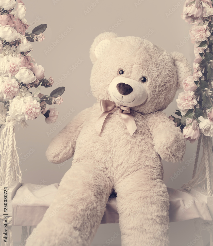 The beautiful teddy bear Stock Photo | Adobe Stock