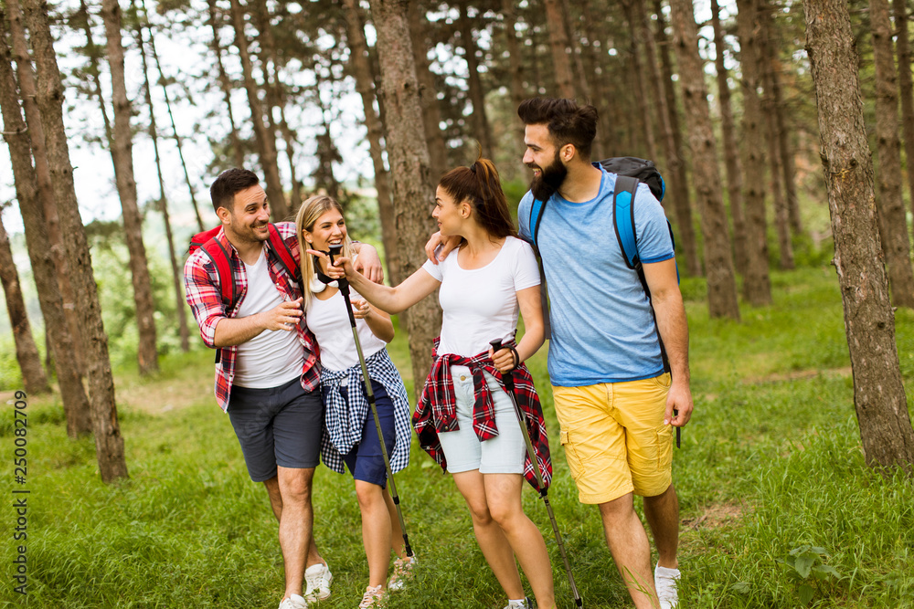 Group of four friends hiking together through a forest Group of four friends hiking together through a forest
