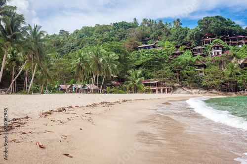 Beautiful tropical beach with tropical coconut palm trees and yellow sand near the sea on Koh Phangan, Thailand