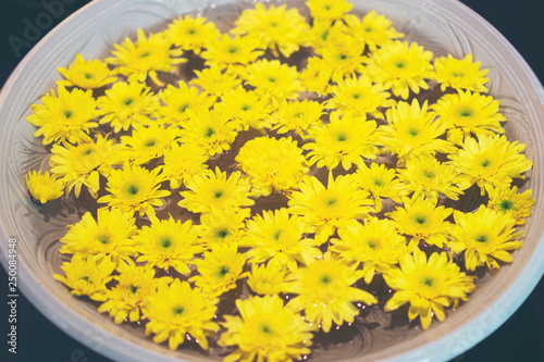 Many flowers float in pots ...
