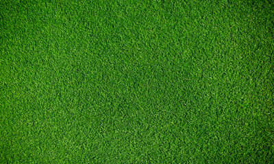 Artificial grass background