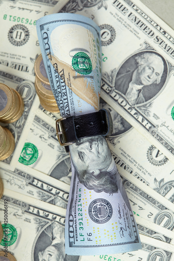 Fototapeta premium belted dollars