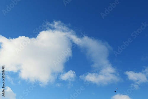 Wallpaper Mural Beautiful heart shape cloud in blue sky background, natural cloudscape Torontodigital.ca