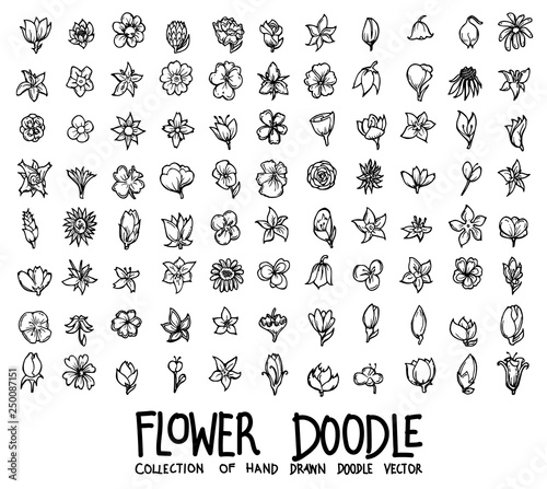 Set of flower icons Drawing illustration Hand drawn doodle Sketch line vector eps10