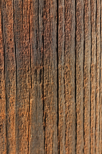 Wallpaper Mural texture of wood and  cracked paint Torontodigital.ca