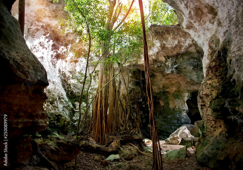 Collapsed Roof of The Cathedral Cave on Bahama Island of Eleuthera photo