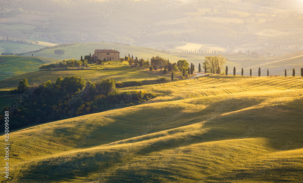Fototapeta premium A lonely farmhouse between tuscan rolling hills. Val d'Orcia, Siena province, Tuscany, Italy