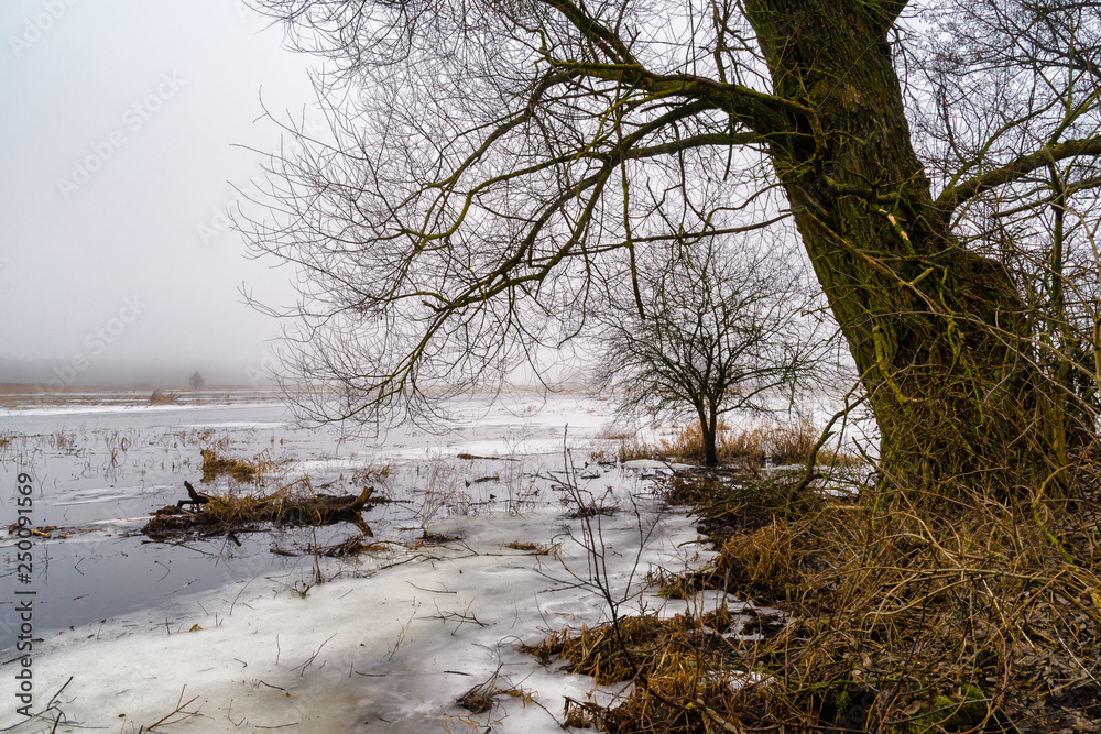 Przedwiośnie na Podlasiu, Dolina Górnej Narwi Przedwiośnie na Podlasiu, Dolina Górnej Narwi