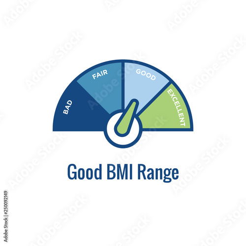 BMI / Body Mass Index Icon - image portraying weight balance