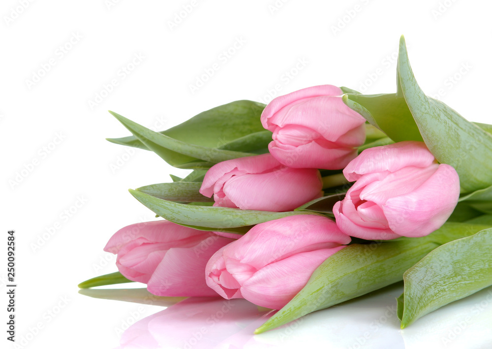 Beautiful bouquet of flowers of pink tulips on a white isolated background. spring holidays. Beautiful bouquet of flowers of pink tulips on a white isolated background. spring holidays.