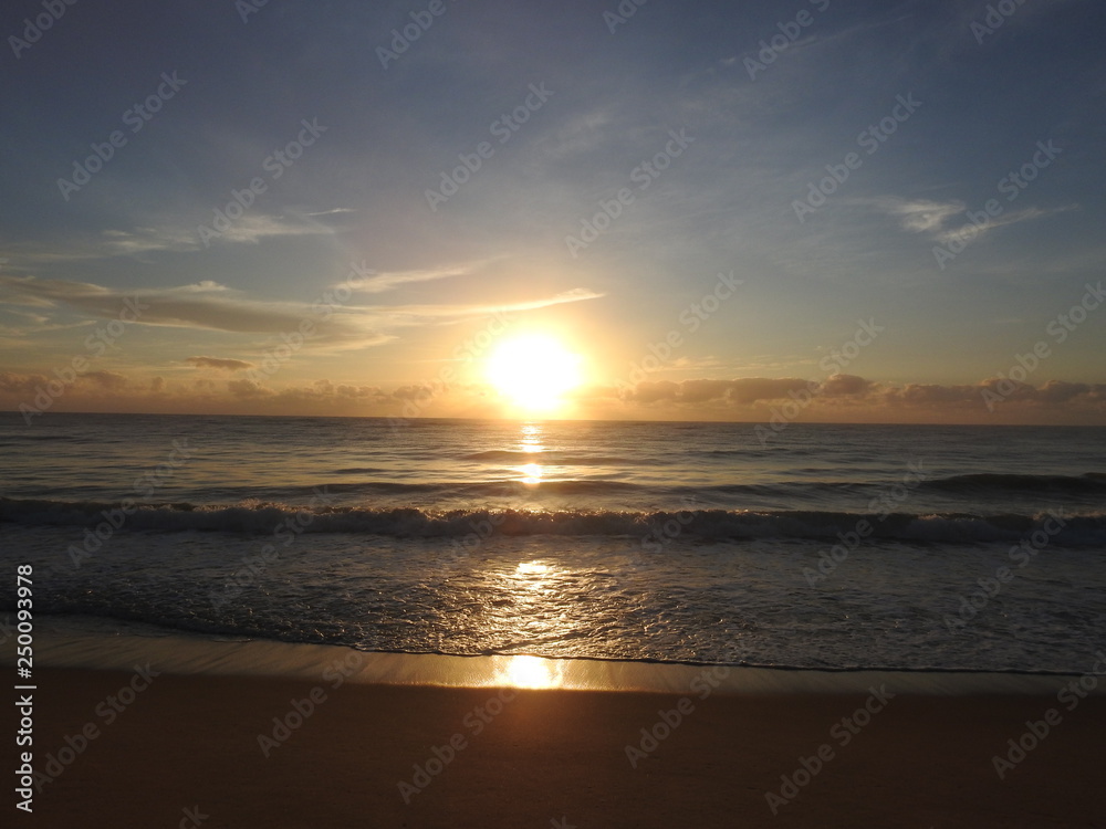 Obraz premium Despontando