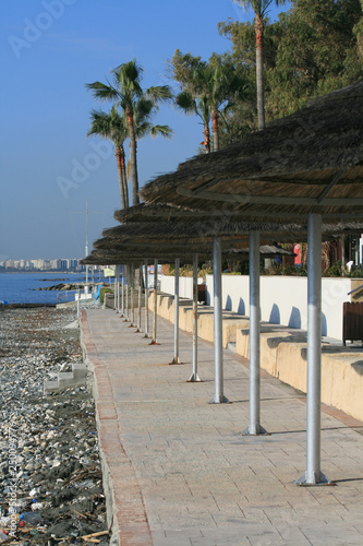 Row of straw umbrellas on a beach