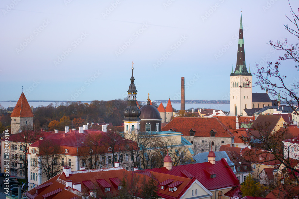 city of red roofs tallinn estonia