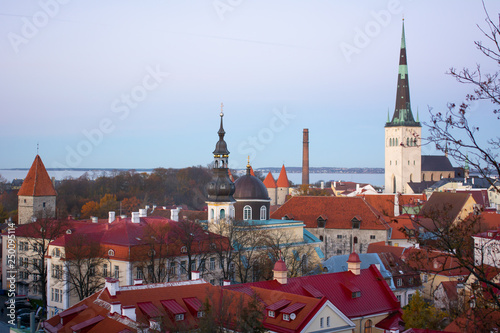 city of red roofs tallinn estonia