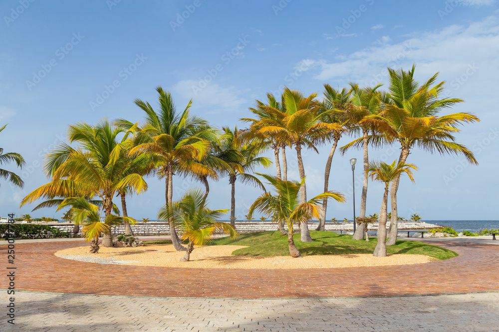 Park on the tropical resort