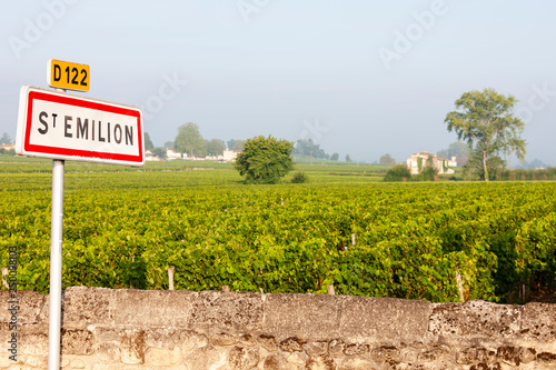 vineyards near Saint-Emilion, Bordeaux, Francie