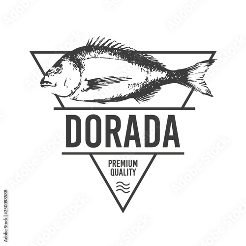 Vector triangular Sea Sign Elements can be used as Logo or Icon in premium quality. Gilt head bream. Dorade written in spanish, Sparus Aurata