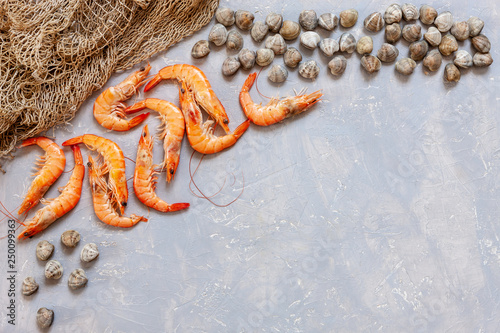 Fresh raw Surf clam chamelea gallina, shrimps and  fishnet. Top view, close up on sand concrete background photo