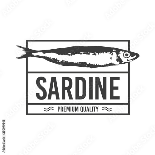 Vector rectangular Sea Sign Elements can be used as Logo or Icon in premium quality. Sardine, Sardina pilchardus