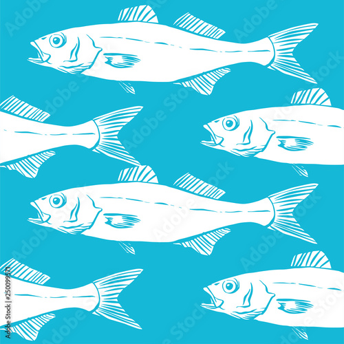 Vector pattern with hand drawn Sea Bass, Dicentrarchus labrax. Advertising, menu or packaging cool design elements.