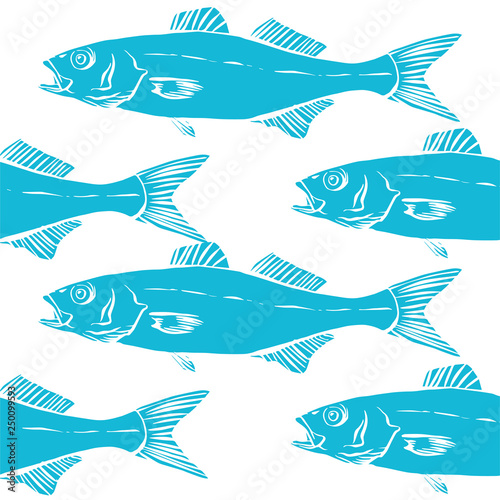 Vector pattern with hand drawn Sea Bass, Dicentrarchus labrax. Advertising, menu or packaging cool design elements.