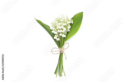 Lily of the valley flowers isolated on white background