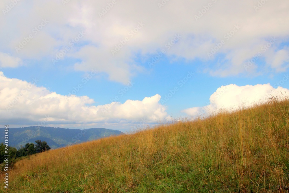 mountain meadow and blue sky mountain meadow and blue sky