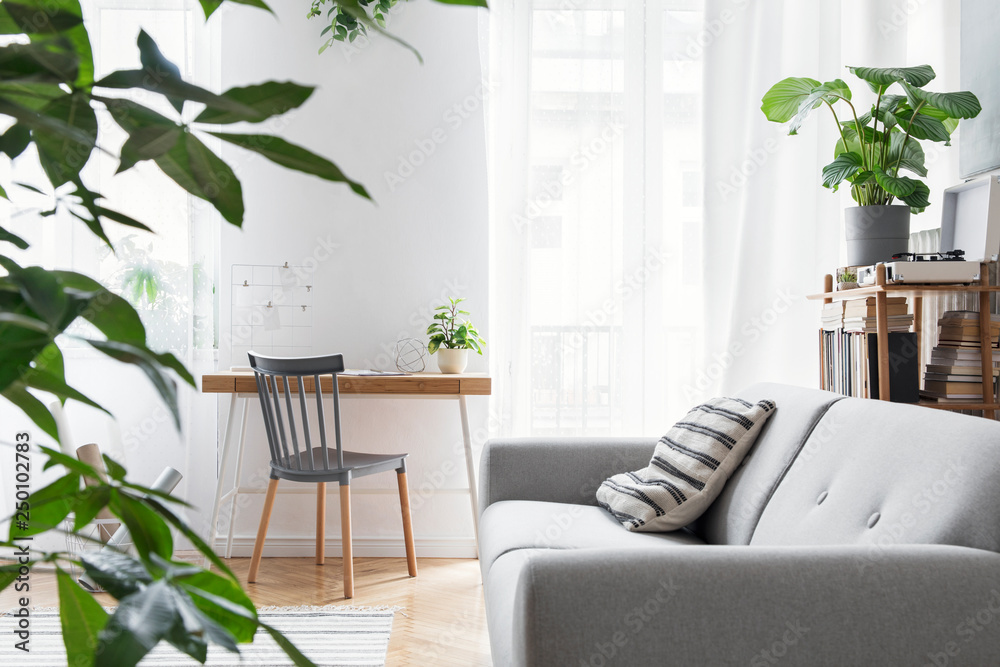 Modern scandinavian living room with design furniture, grey sofa, plants, bamboo bookstand and wooden desk. Brown wooden parquet. Nice apartment. Stylish decor. Bright and sunny side of home space. - obrazy, fototapety, plakaty 