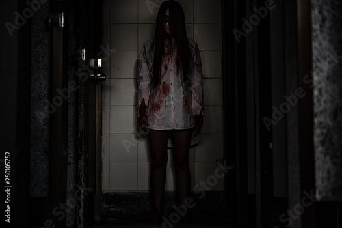 Portrait of asian woman make up ghost face with blood,Horror scene,Scary background,Halloween poster,Thailand people