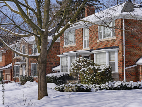 Photography snow covered suburban houses on a treelined street