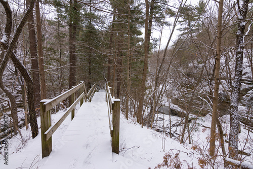 Trail through the Dells photo