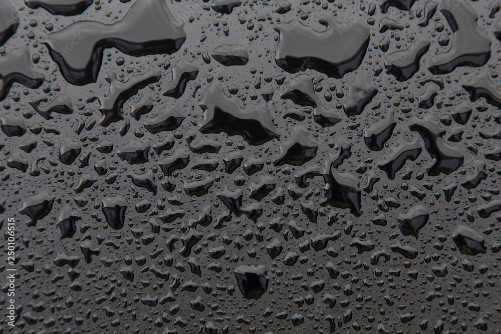 custom made wallpaper toronto digitalDrops of water on black texture. Walpaper