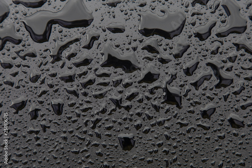 Wallpaper Mural Drops of water on black texture. Walpaper Torontodigital.ca