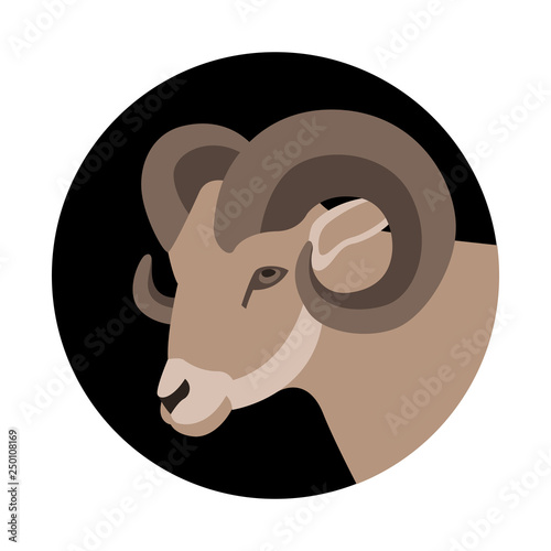 ram head, vector illustration, flat style,