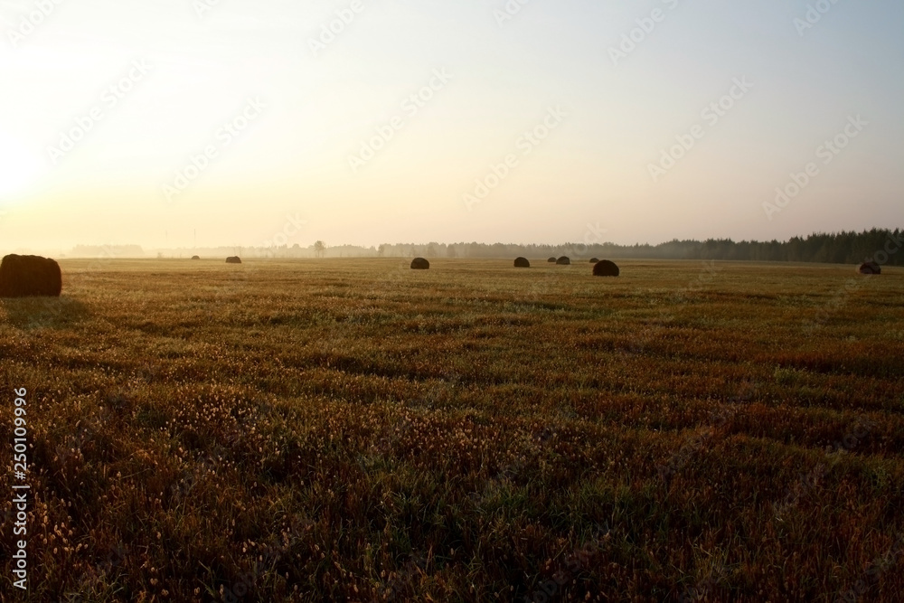 Dawn in the field after harvest Dawn in the field after harvest