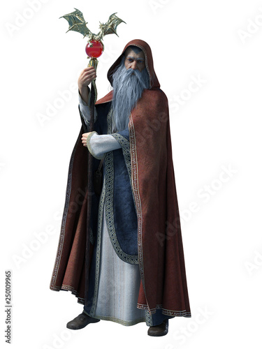 Canvas Print wise old wizard