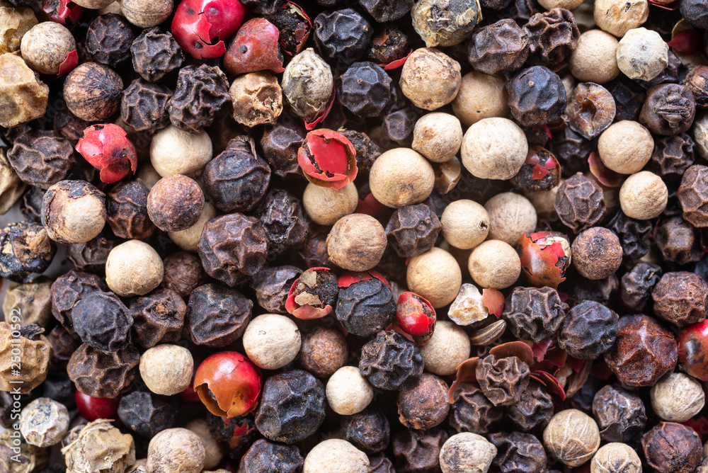 Background with different kind of the pepper