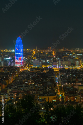 Skyline of Barcelona from the 'Bunkers del Carmel', at night