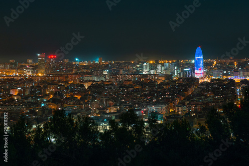 Skyline of Barcelona from the 'Bunkers del Carmel', at night