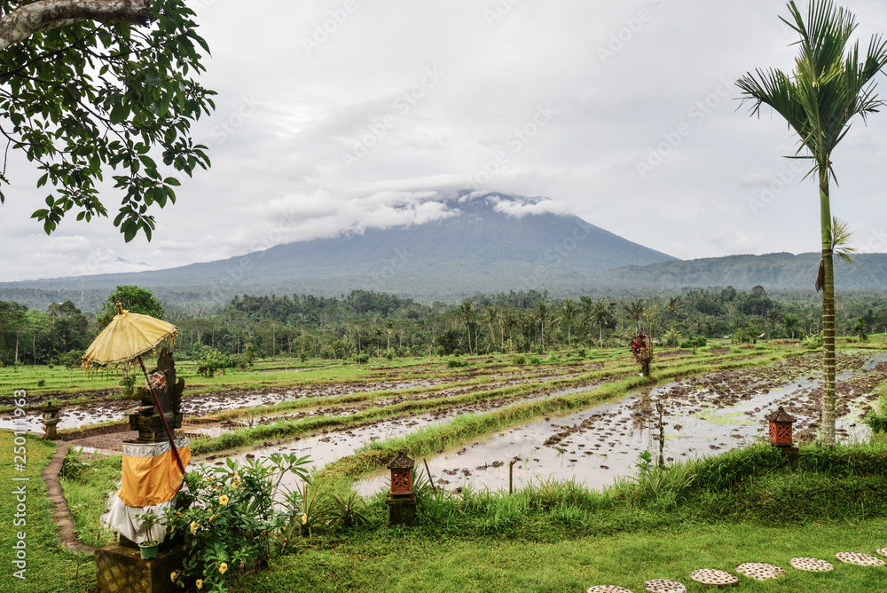 Landscape with rice fields and Agung volcano