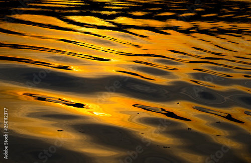Dourado