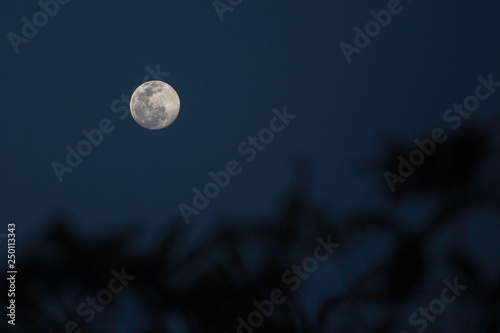 Lua