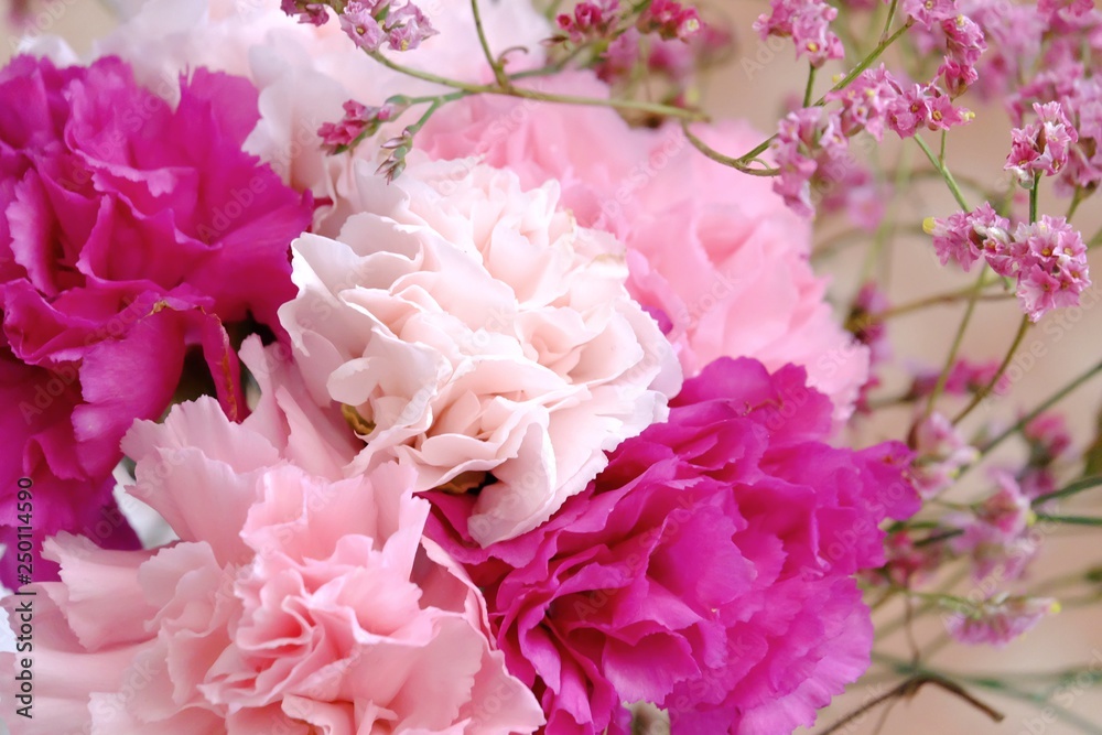 Close up a colorful bouquet of sweet carnation flowers with a branch of sweet pink statice for background backdrop Close up a colorful bouquet of sweet carnation flowers with a branch of sweet pink statice for background backdrop