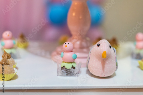 Sweets and decoration on the table - Children's theme garden theme © Mateus