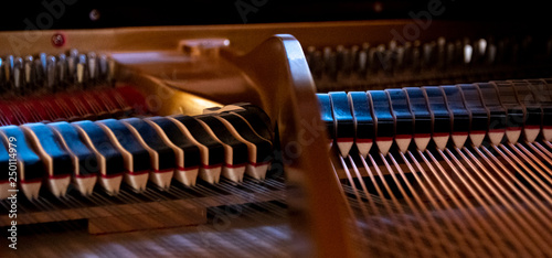interior of a grand piano, harp,