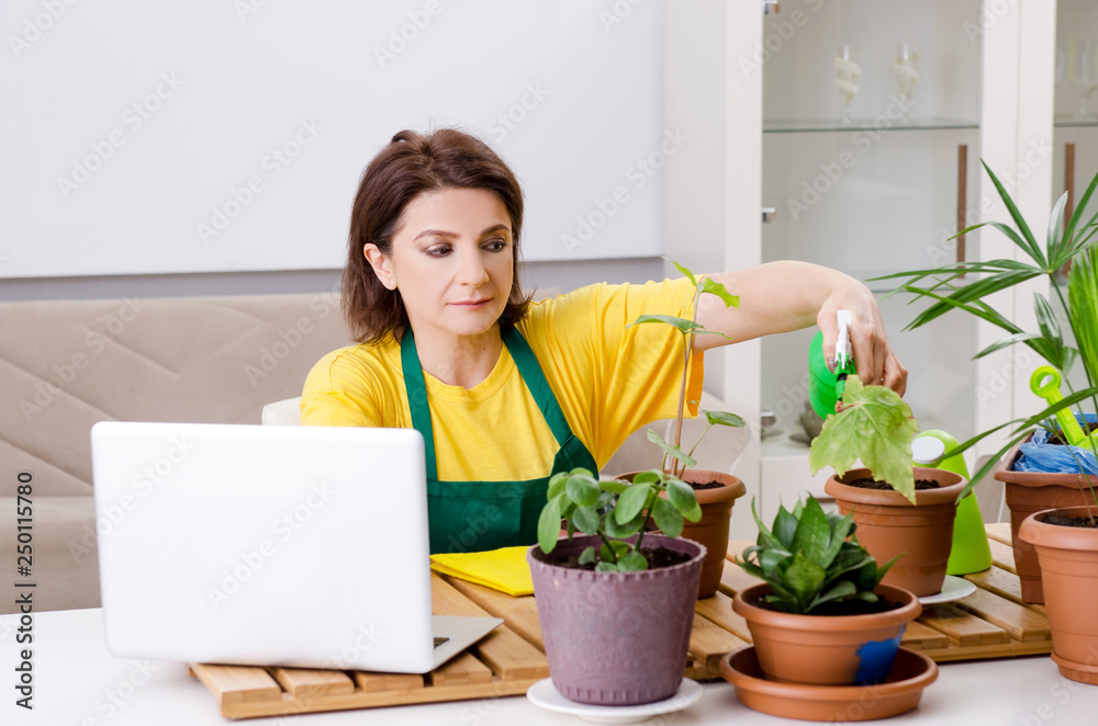 Female gardener with plants indoors Female gardener with plants indoors