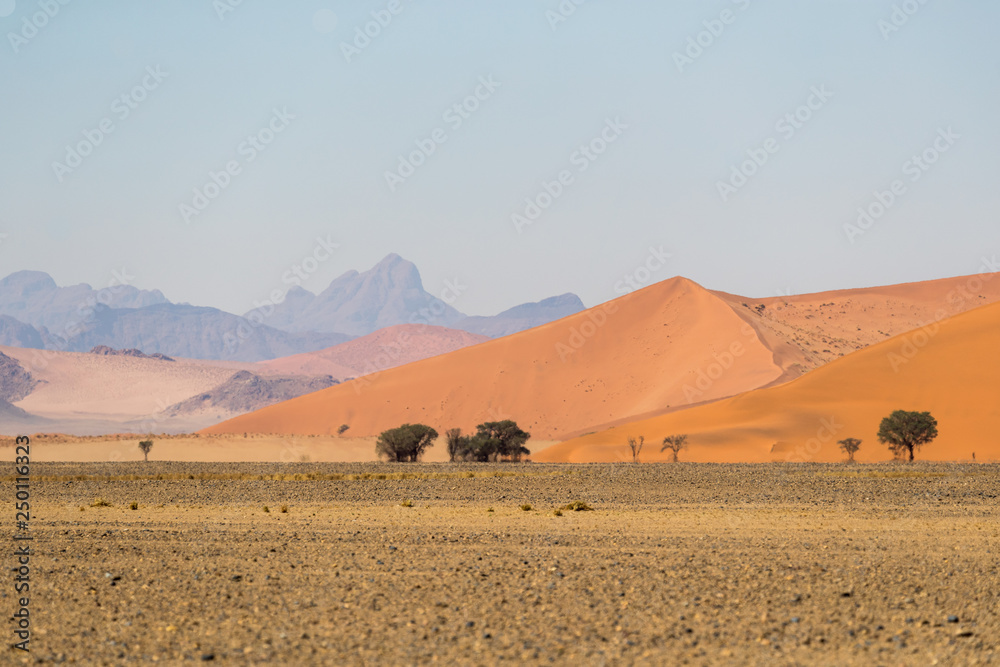 African landscape, beautiful red sand dunes and nature of Namib desert, Sossusvlei, Namibia, South Africa