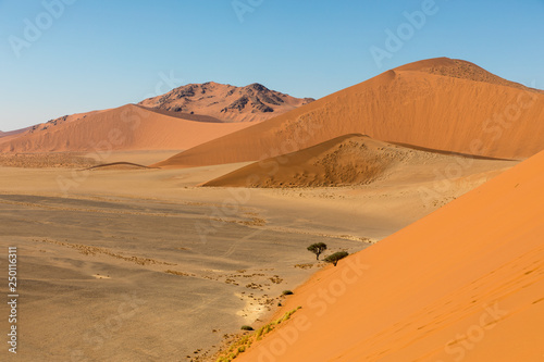 African landscape  beautiful red sand dunes and nature of Namib desert  Sossusvlei  Namibia  South Africa