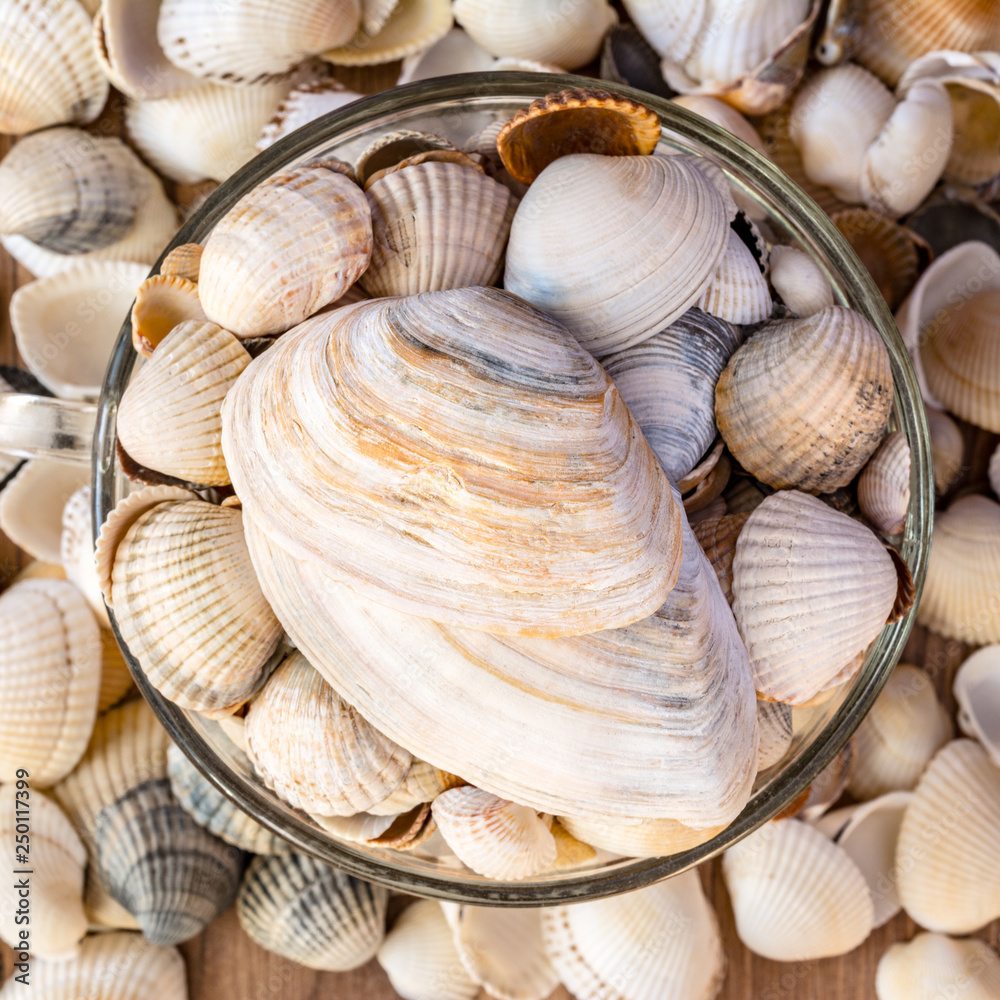 Obraz premium Seashells of different colors. Light seashells in a transparent cup. Seashell background. Texture of the shells.
